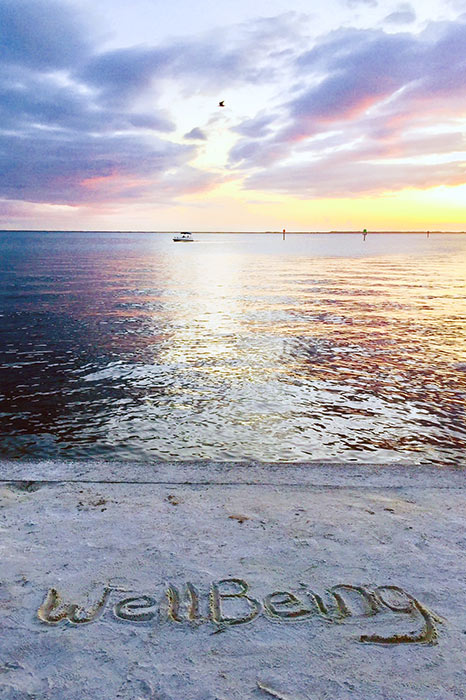 wellBeing in the sand, Sunset on Charlotte Harbor